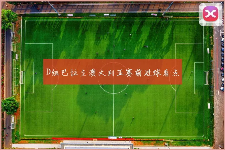 D组巴拉圭澳大利亚赛前进球看点