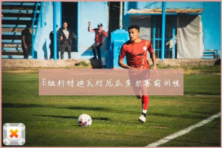 E组科特迪瓦对厄瓜多尔赛前训练