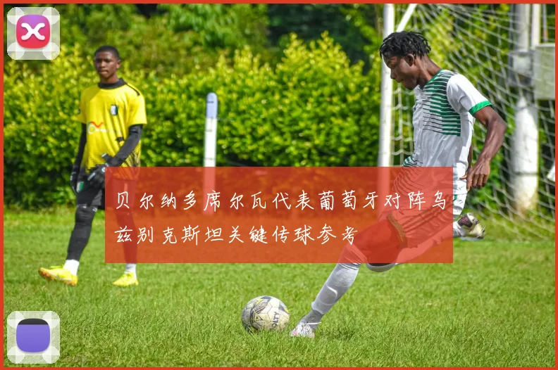 贝尔纳多席尔瓦代表葡萄牙对阵乌兹别克斯坦关键传球参考